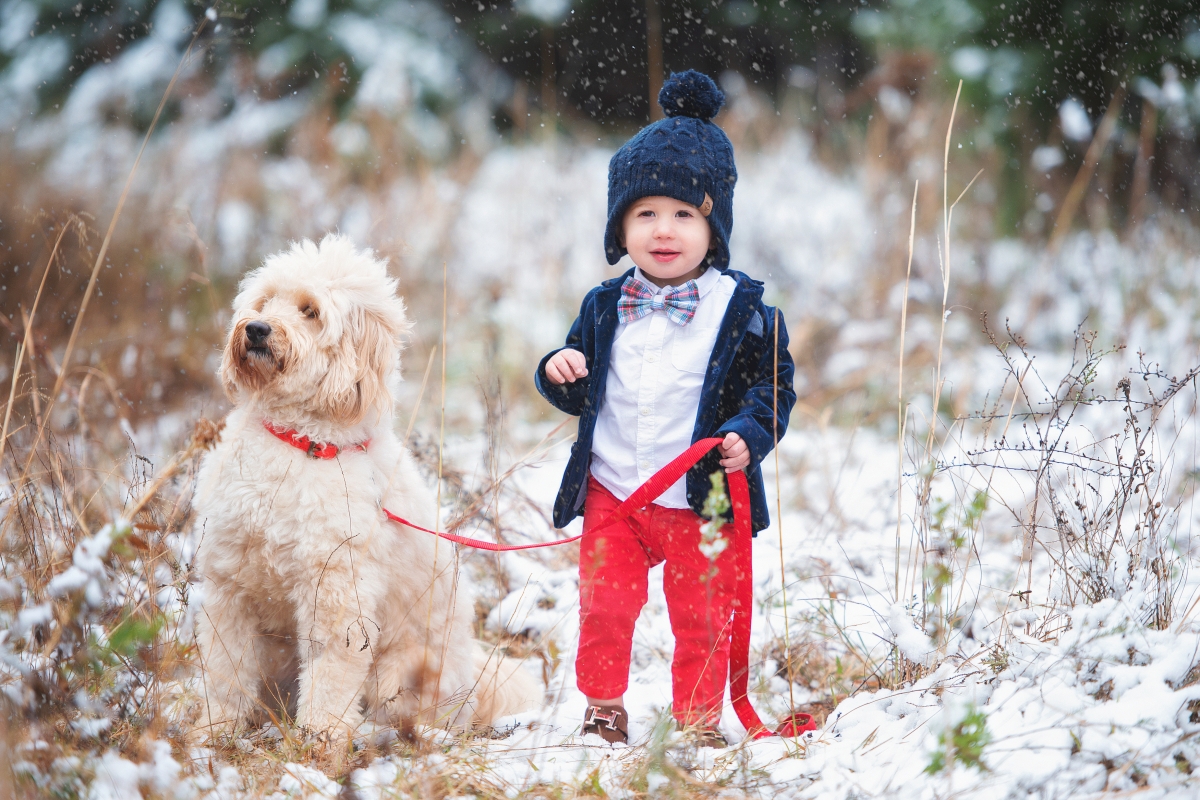 Christmas card photos sequin dress, Christmas card photo inspiration, baby announcement Christmas card photo pinterest, Emily ann gemma, the sweetest thing blog